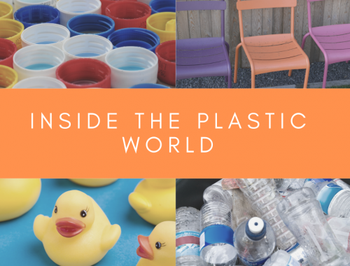 Inside the plastic world