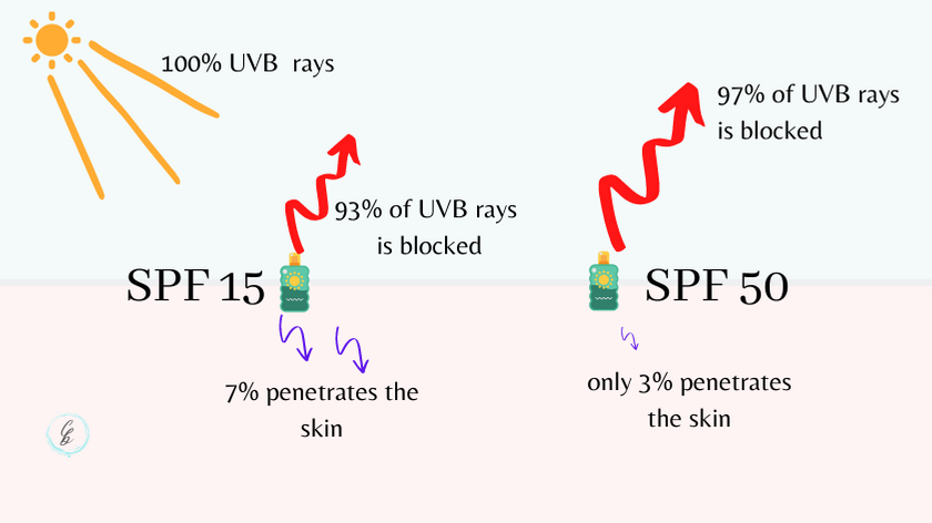 UVB penetration skin